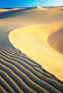 Sanddünen von Maspalomas, Gran Canaria, Kanarische Inseln, Spanien Sanddünen von Maspalomas, Gran Canaria, Kanarische Inseln, Spanien